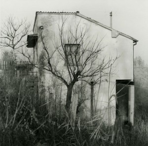 Stark black and white photograph of an unusual, white house partially obscured by a tree and other plants