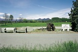Photograph a green field, trees and mountains intersected with a road, two concrete benches and a rusted artillery gun