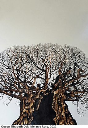 Oak Tree