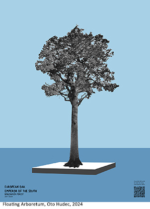 Floating Arboretum, Oto Hudec, 2024 European Oak Tree