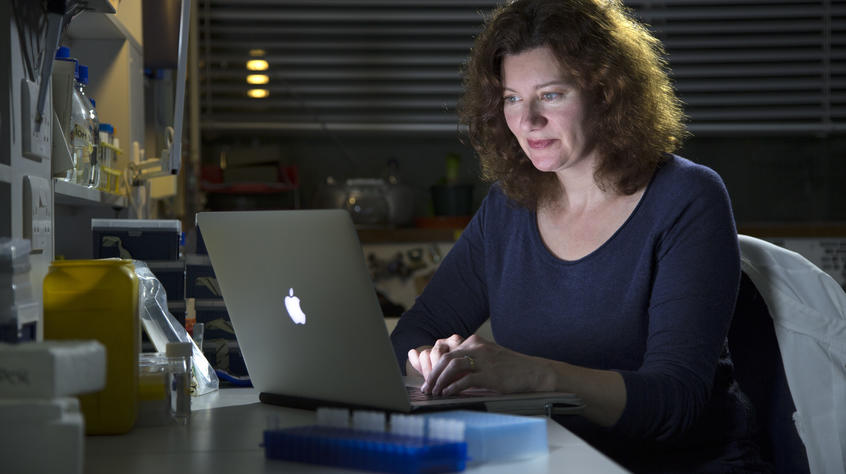 Professor Turi King working on a laptop.