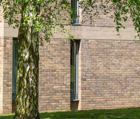 A photo of the Lasdun halls of residence