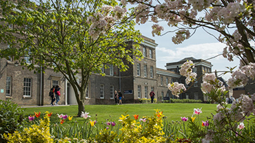 Fielding Johnson Building in spring, framed by pink blossom