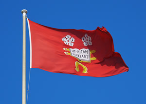 flag flying over the Fielding Johnson Building