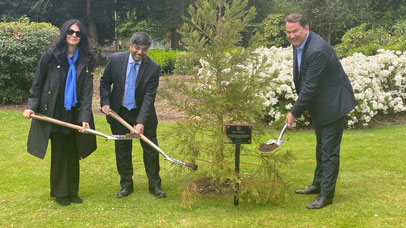 A tree being planted on University of Leicester campus