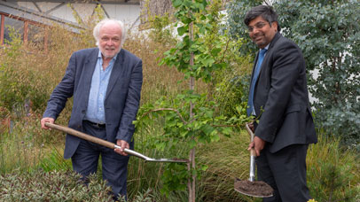 A tree being planted on University of Leicester campus