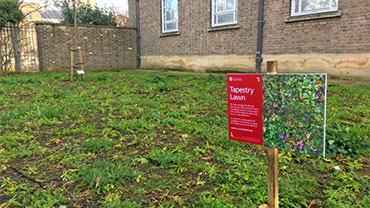 tapestry lawn near astley clarke building