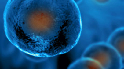 Close up of a round cell, in blue.
