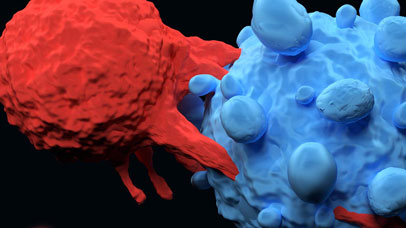 Close up of two cells colliding