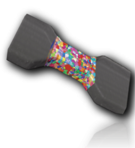 A dog bone specimen with colourful polygons over laid to demonstrate the grain structure