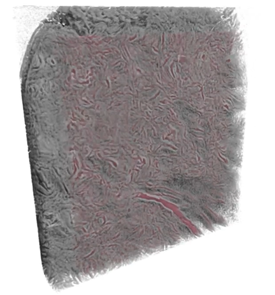 A cross section of a grey pillar with texture in the surface highlighted pink.