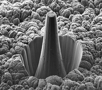 A micrograph of a rough surface with a circular trench. In the centre of the trench is a tall pillar.
