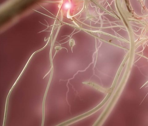 abstract microscopic view of nerve cells