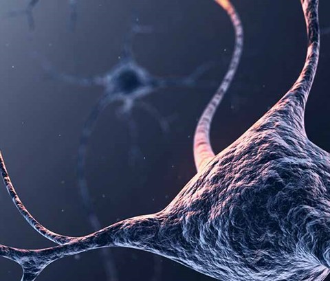 abstract microscopic view of neuron system
