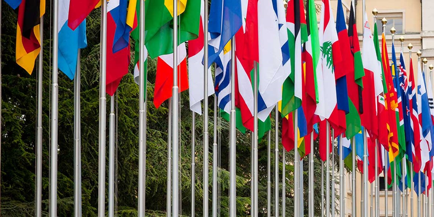 flags of the world outside building