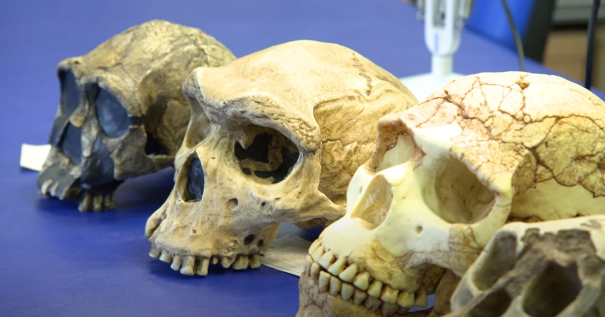 Archaeology Facilities 
