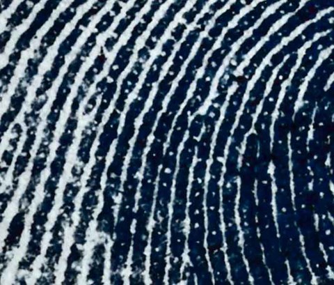 close up of a finger print on paper