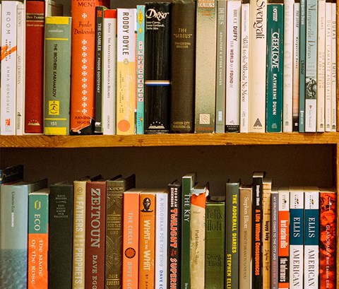 Rows of books on bookshelves in a library or bookshop.