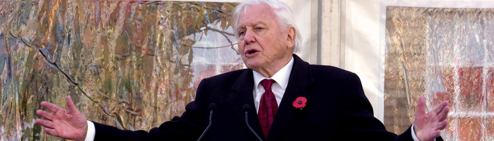 David Attenborough talking