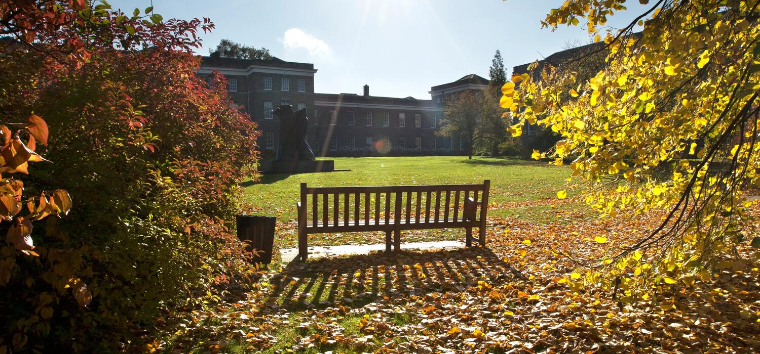 A wooden bench situated in the center of a grassy field on campus, surrounded by open space, buildings and trees in the background.