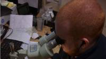 Adam Santer looking through a microscope