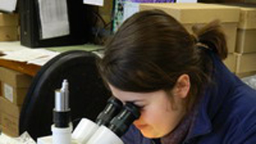 Rachel Small looking into a microscope