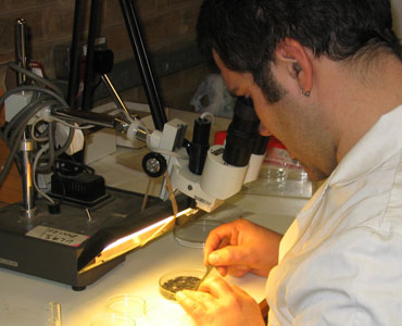 Archaeologist looking into a microscope
