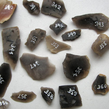 Bits of stone and flint laid on a table and labelled with numbers.