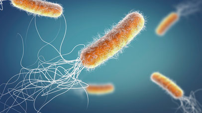 Antibiotic resistant Pseudomonas aeruginosa bacteria, 3d illustration.