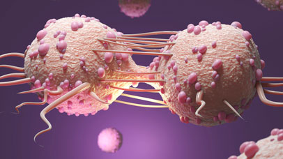 Illustration of cancer cells dividing.