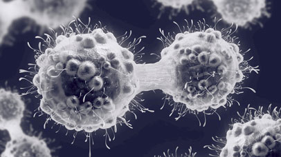 Cancer cell in state of mitosis.