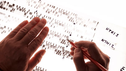 Criminologist studying DNA