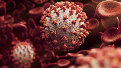 Coronavirus around blood cells.