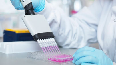 Scientist using multi-channel pipette to fill multiwell plate for analysis of antibodies