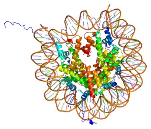 Computer generated 3D structure of DNA.