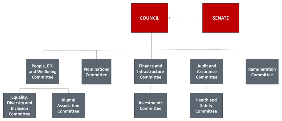 Flow chart showing that Senate feeds into the Council, which then feeds into Alumni Association, Audit and Assurance Committee, Finance and Infrastructure committee, People, EDI and Wellbeing committee, Nominations committee, remuneration committee. The finance committee feeds to the investments committee and the People, EDI and wellbeing committee feeds into the EDI committee.