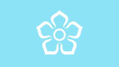 Leicester City Council logo