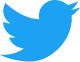 twitter icon