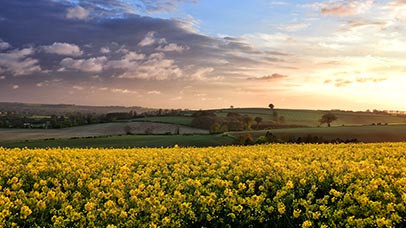 farm fields lincolnshire