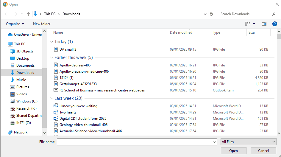View of a file list on a computer