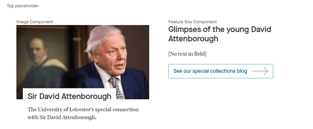 View of the frontend of a Content Management System