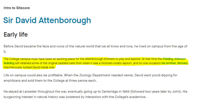 Screenshot of a page with a paragraph highlighted to show an error.