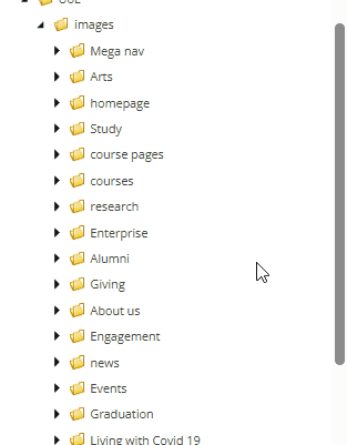 View of the backend of a Content Management System