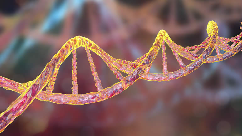 Double helix of DNA