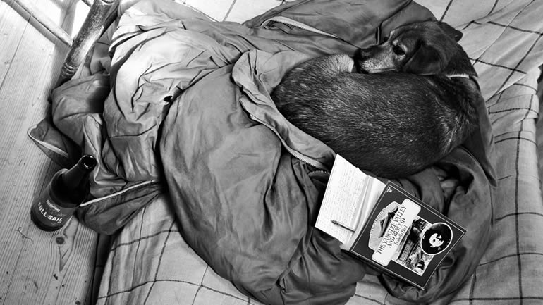 A dog curled up next to a book and a beer