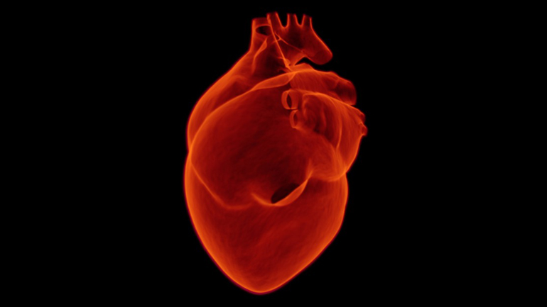 Heart