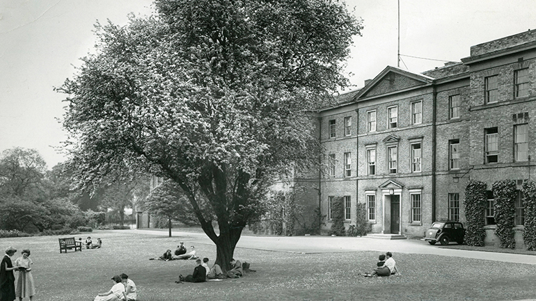 The lawn of the Fielding Johnson Building
