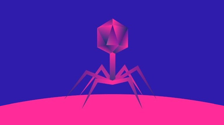 Researchers show bacteriophages can affect melioidosis disease acquisition