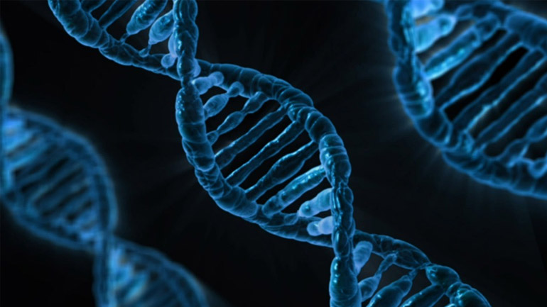 DNA helix
