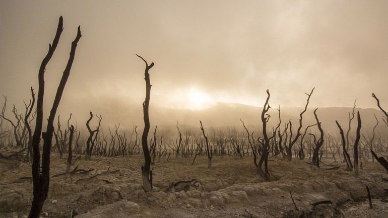 Scientists are unravelling the reasons why mass extinctions have occurred throughout history